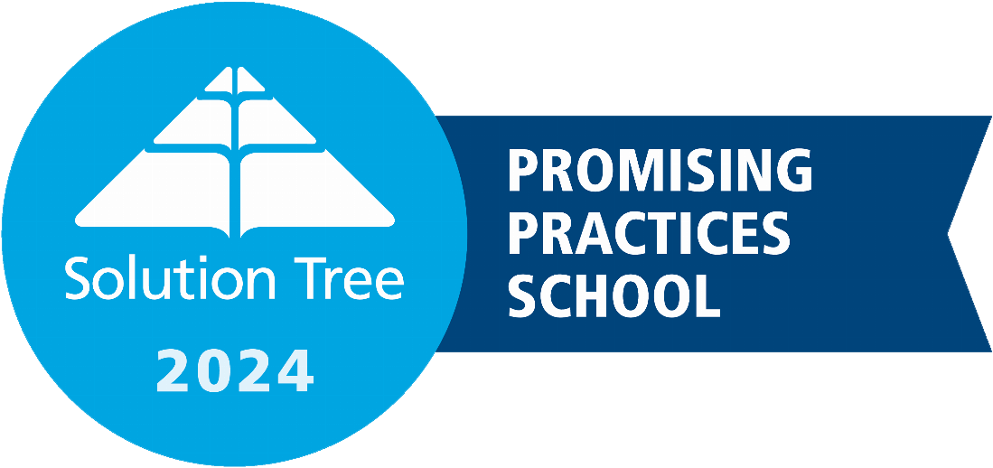 Promising Practices School Badge